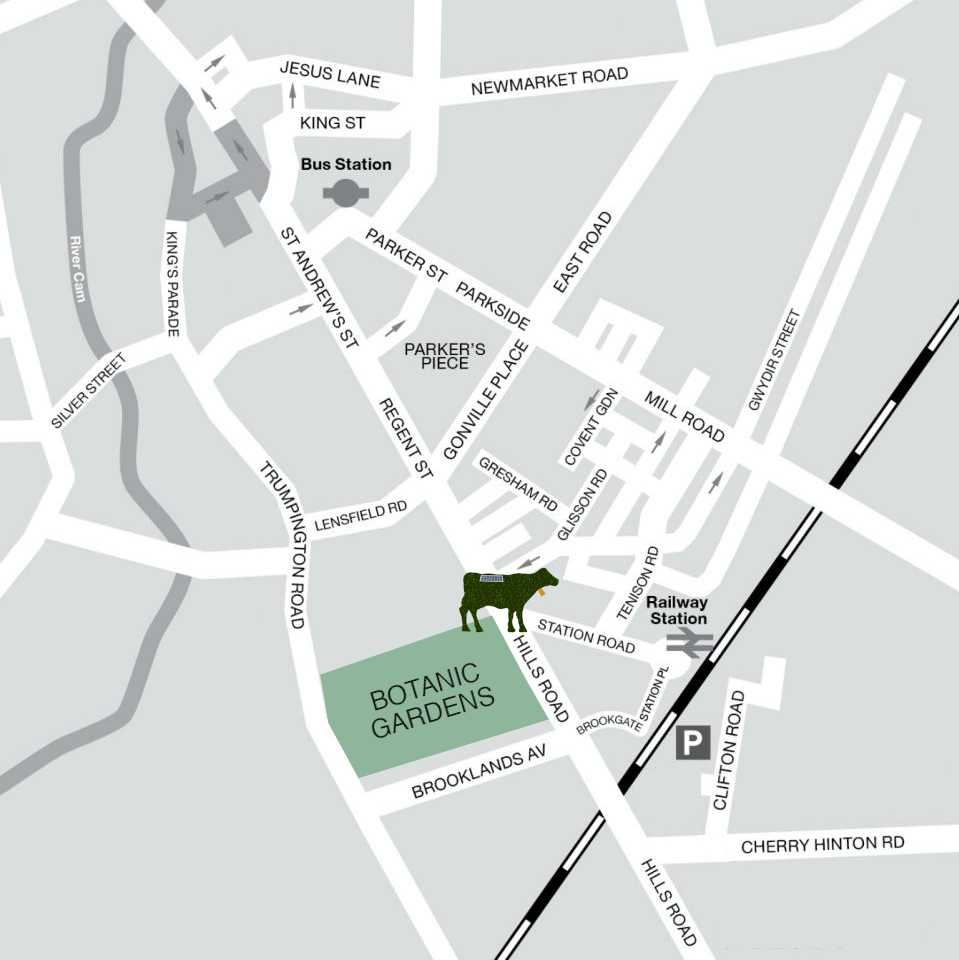 Map of cow location at entrance to Cambridge Botanic Gardens on Hills Road